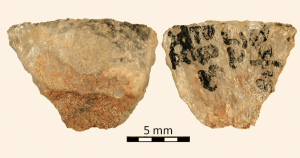 سر الكيمياء: البشر استخدموا أول “سهم مسموم” قبل 60 ألف سنة