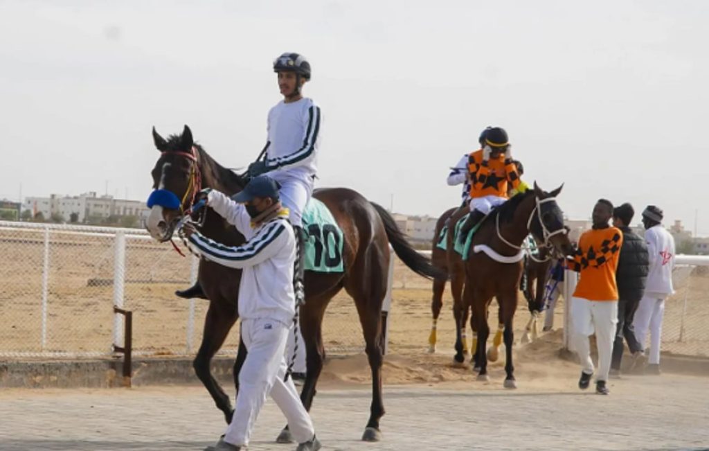 ميدان فروسية القريات يقيم حفل سباقه السابع