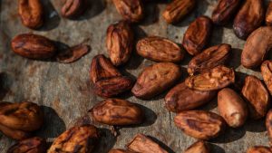 كوت ديفوار تتدخل لإنقاذ الكاكاو وتداعيات مرتقبة على أسعار الشوكولاتة