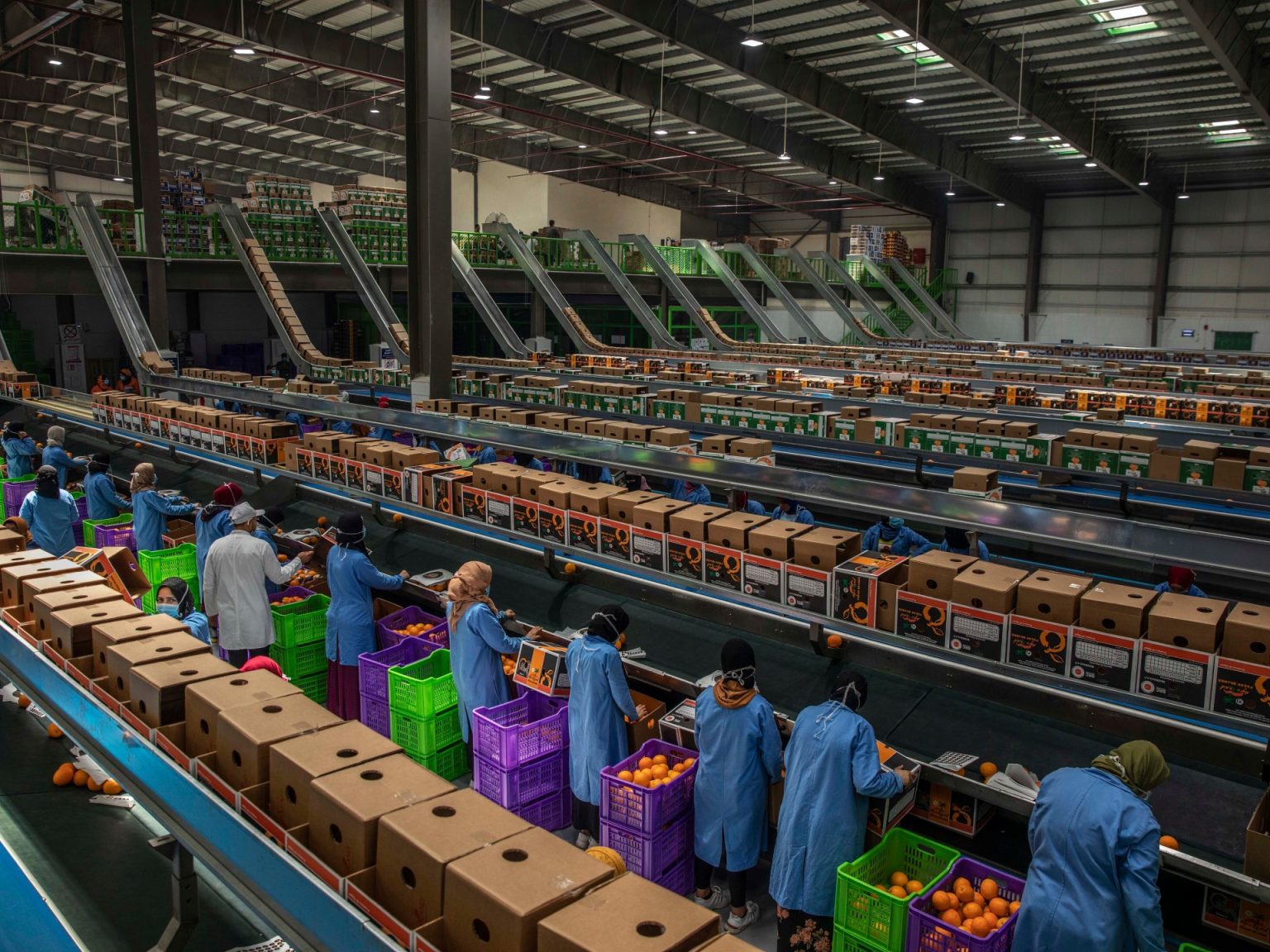 الإمارات وتركيا في الصدارة.. تعرف على وجهات البضائع المصرية خلال 2025