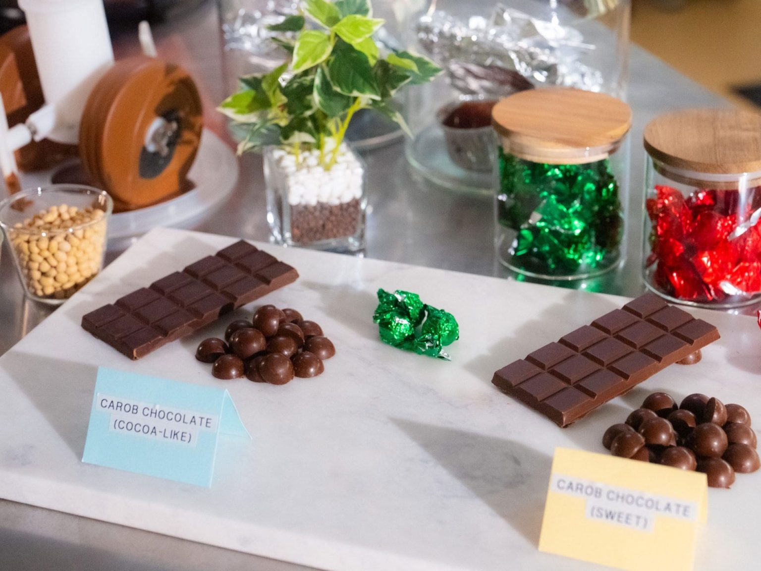 العلماء بدؤوا تجهيز “بدائل الشوكولاتة” تحسبًا لانقراضها