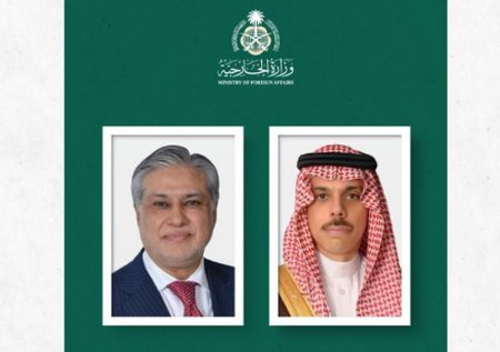 وزير الخارجية يبحث العلاقات الثنائية والمستجدات الراهنة مع نظيره الباكستاني