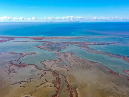 دلتا “بويوك مندريس”.. موطن للتنوع البيولوجي غربي تركيا