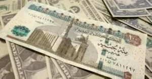 الريال السعودي يصعد إلى 13.02 جنيه في مصر – أخبار السعودية