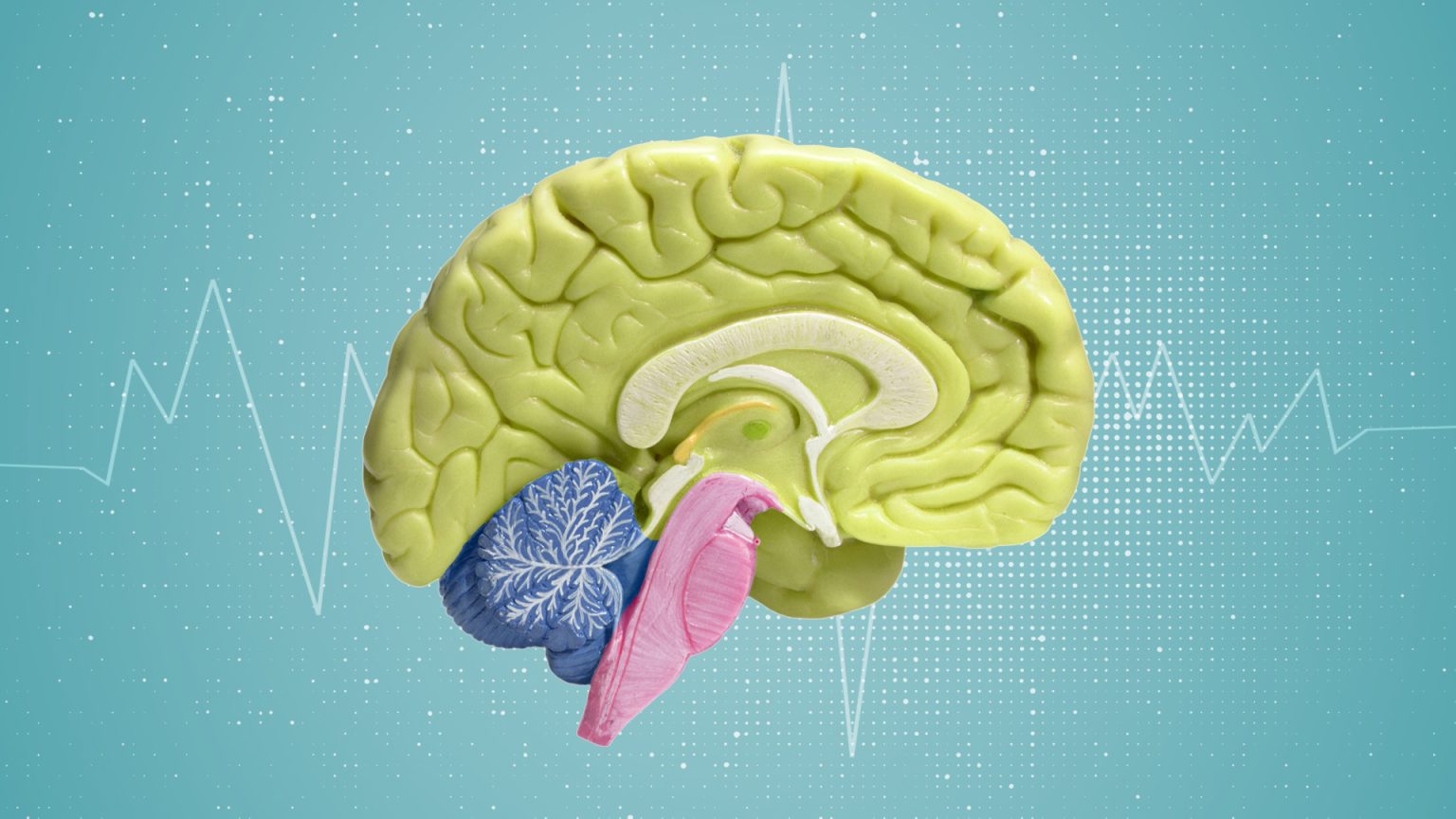 متى تتحول ضربة الرأس إلى خطر يستدعي الطوارئ؟