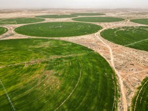 العلماء يحذرون: الجفاف يدفع العالم إلى عصر ما بعد المضادات الحيوية