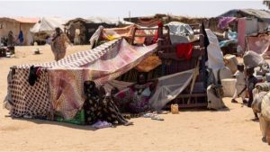 تحذيرات دولية من تفاقم جوع النازحين في الأبيض بالسودان
