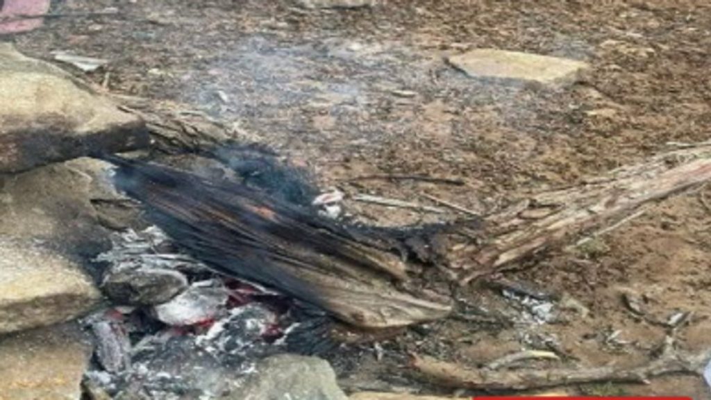 الأمن البيئي يضبط مواطناً أشعل حريقاً في محمية الإمام فيصل بن تركي