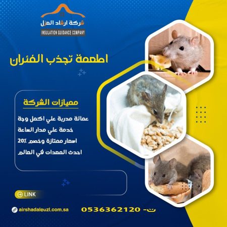 مكافحة الفئران والقوارض: أسباب الانتشار وأشهر أنواع المبيدات والطعوم المستخدمة